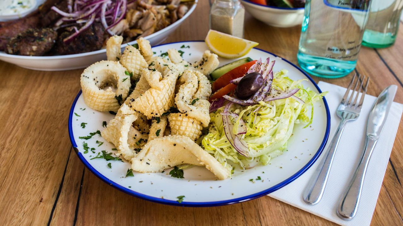 Fried Calamari
