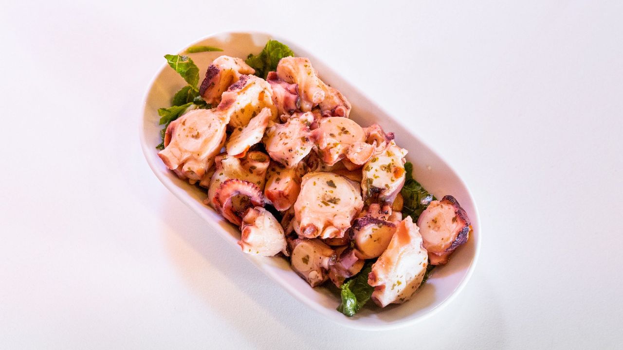 Fremantle Octopus