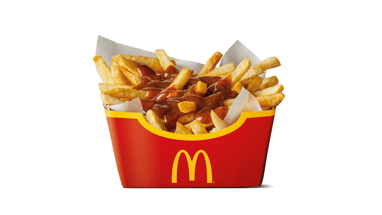 Single Gravy Loaded Fries