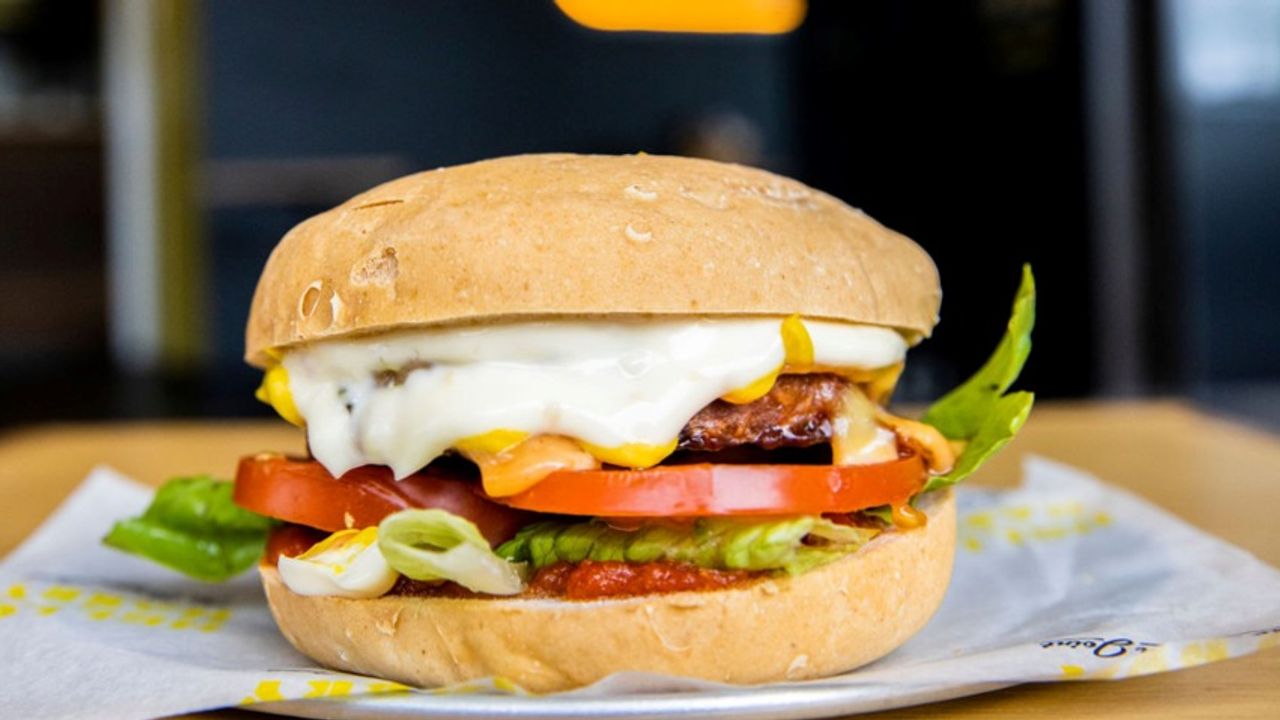 Plant Based Burger