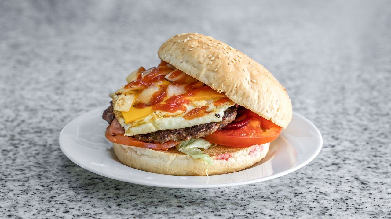 Plain Hamburger