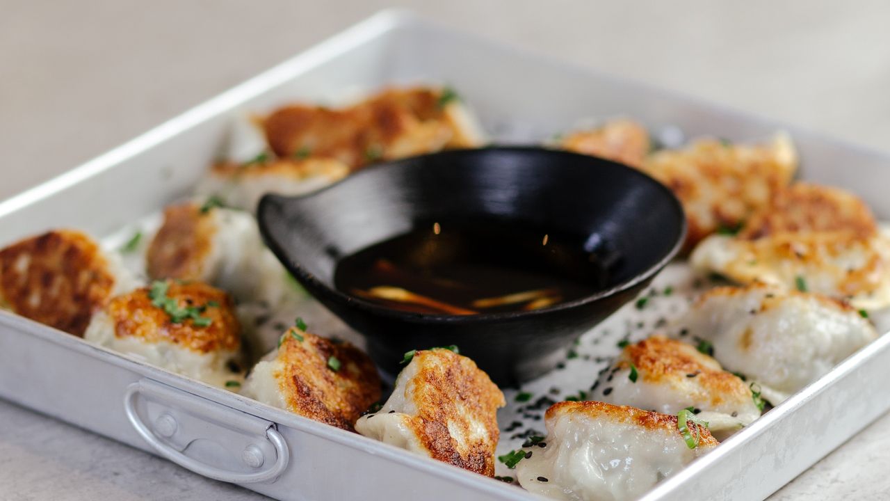 Pan Fried Pork & Chive Dumplings (6 / 15)