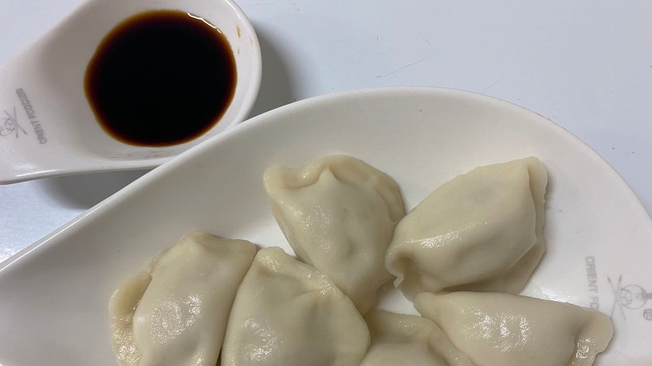 E10. Pork Steam Dumplings (6)