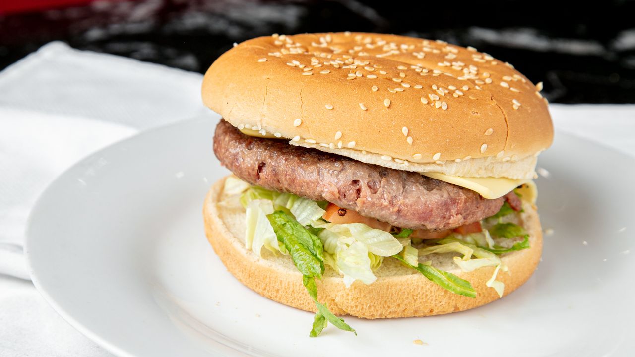 Camel Burger