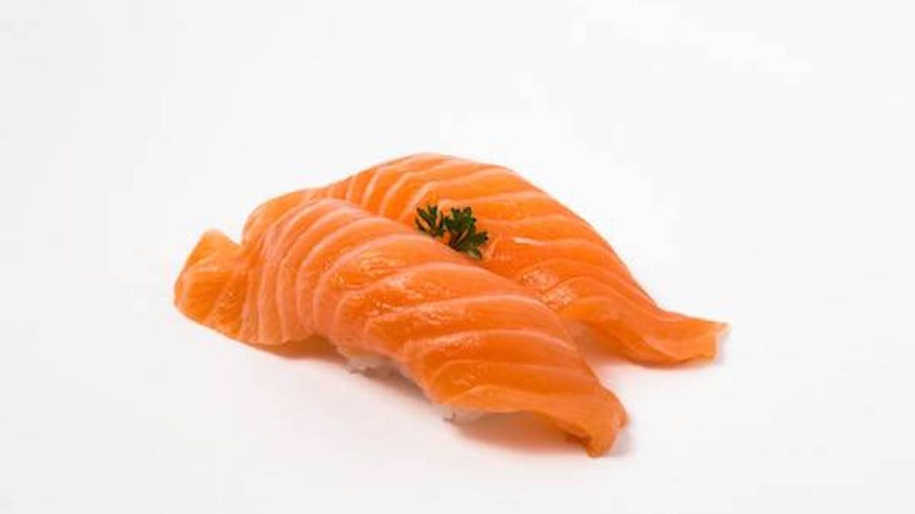 Salmon