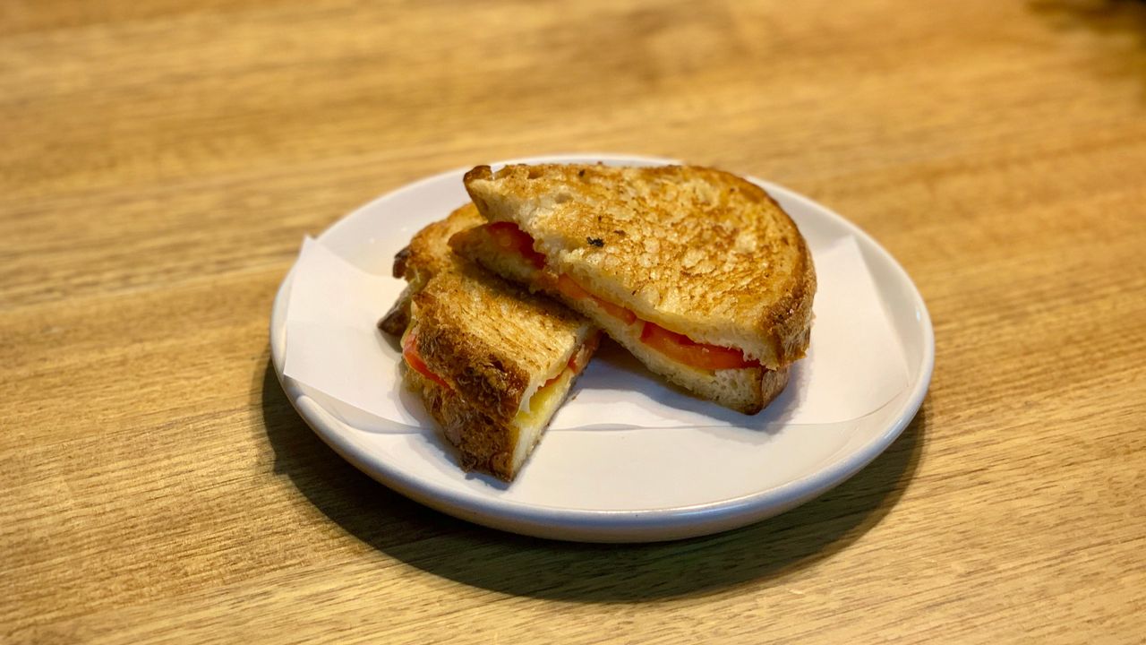 Cheese and Tomato Toastie