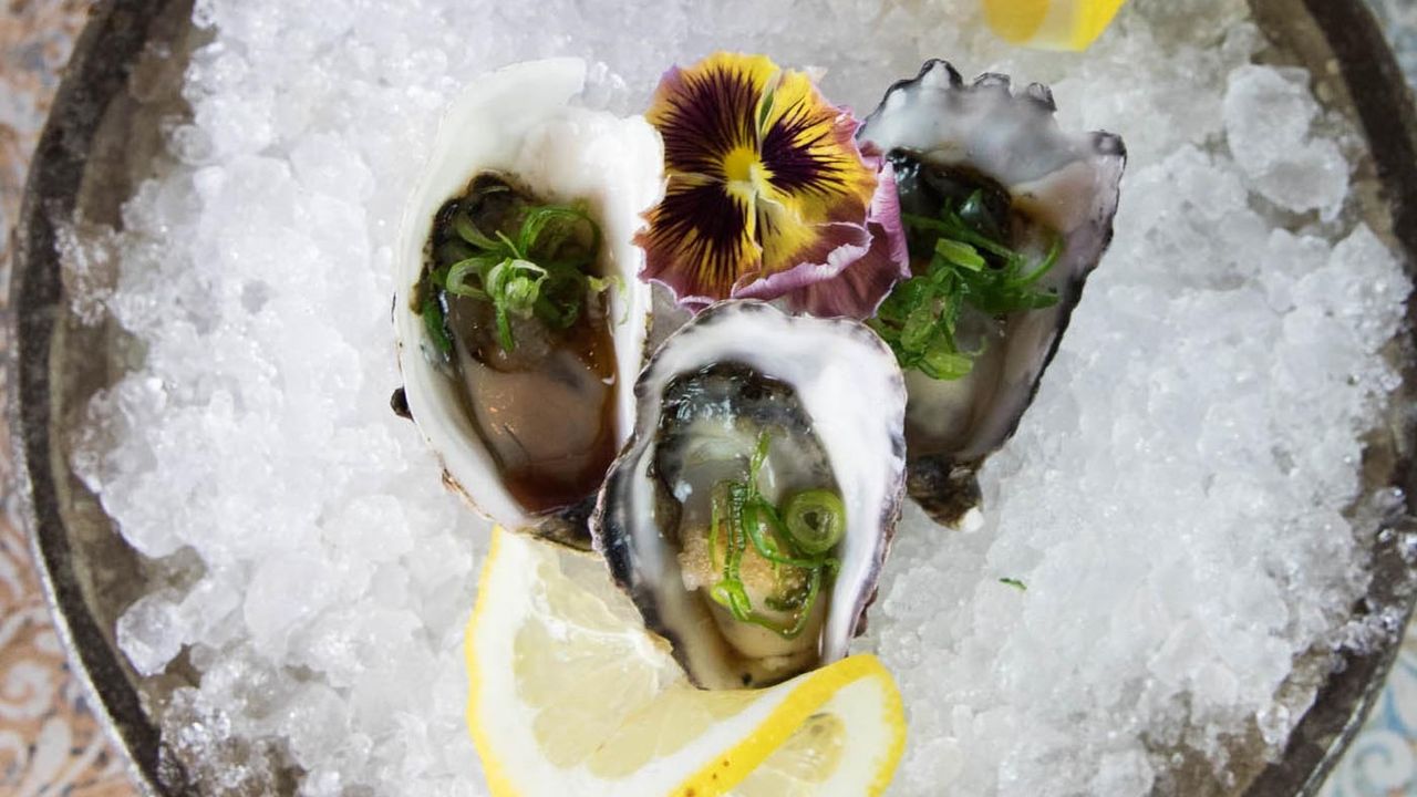 Oyster Natural (3pcs)