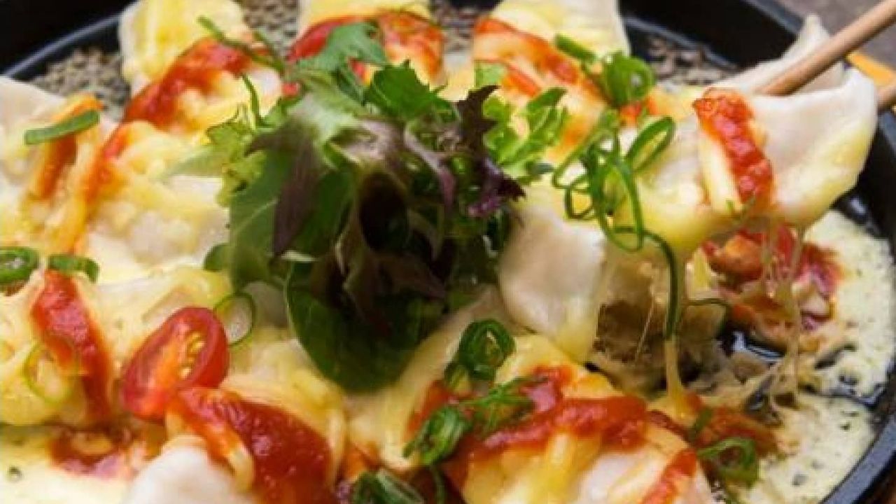 Gyoza Pizza