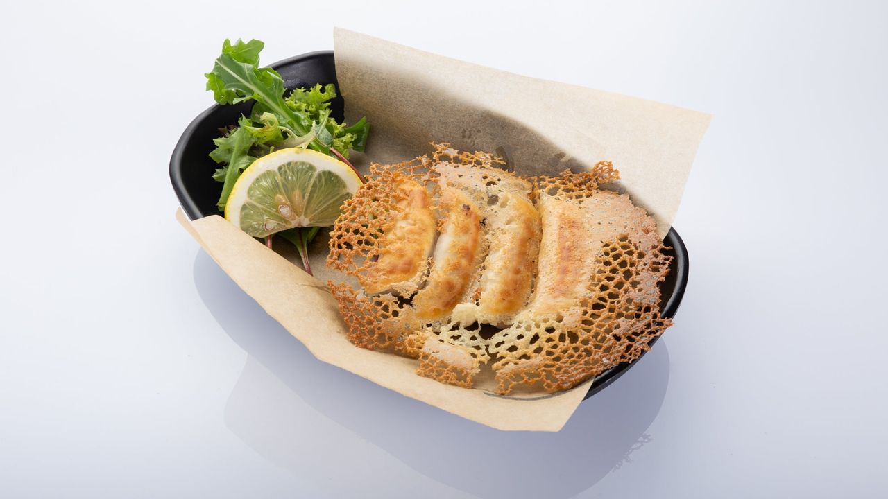 Gyoza Dumplings