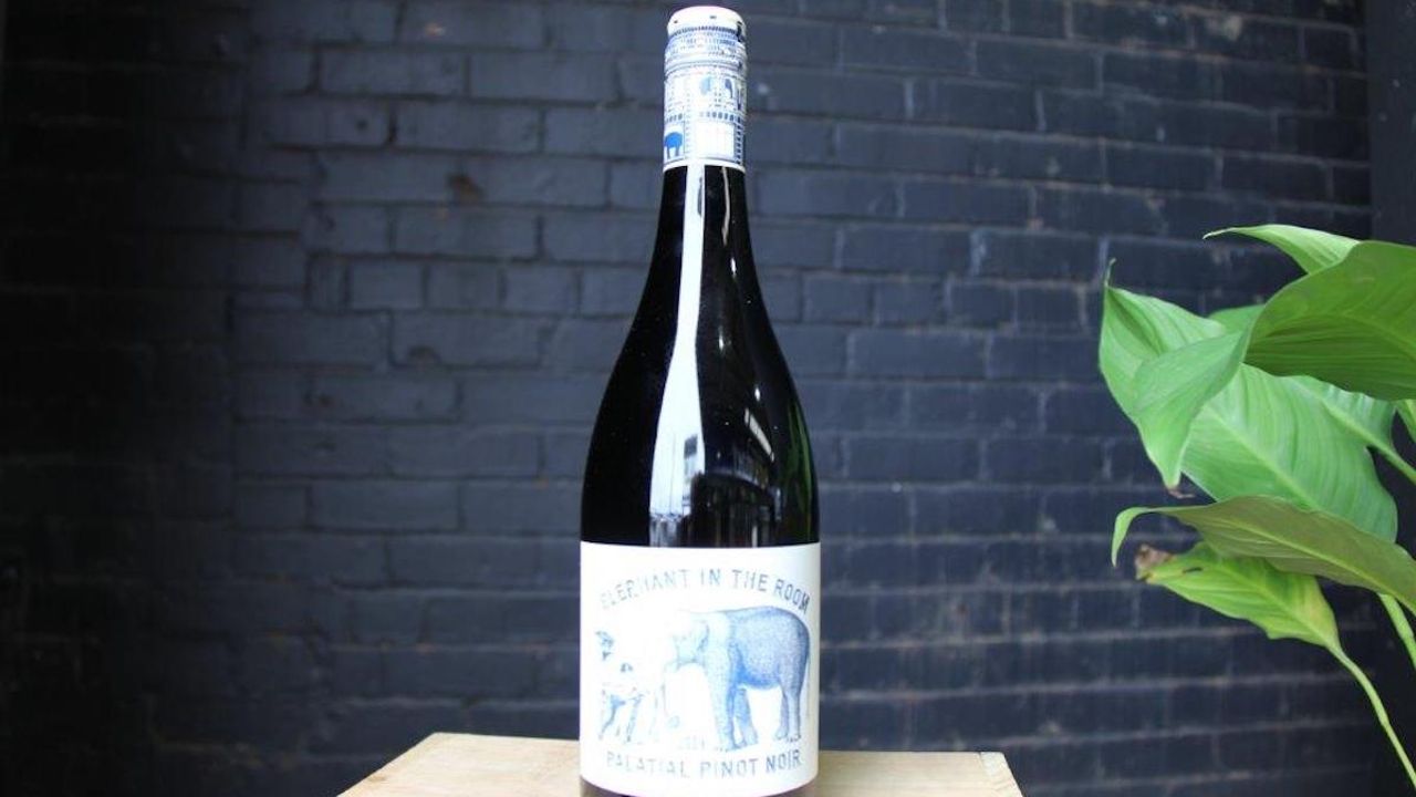 Elephant In The Room Pinot Noir