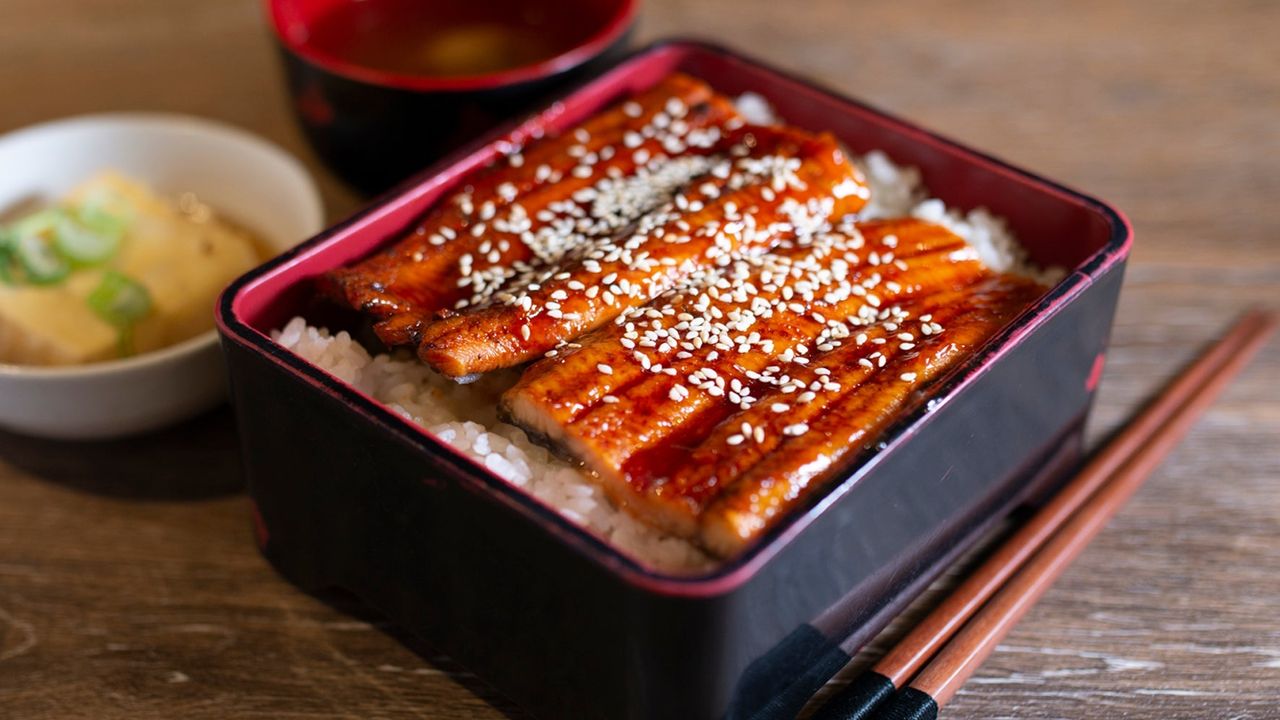 R8 Unagi Don 鳗鱼饭