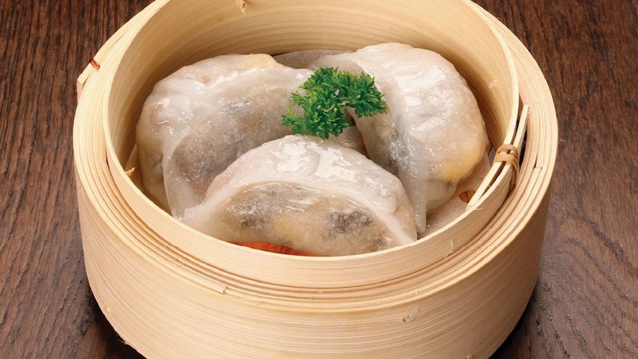 Vegetarian Dumpling
