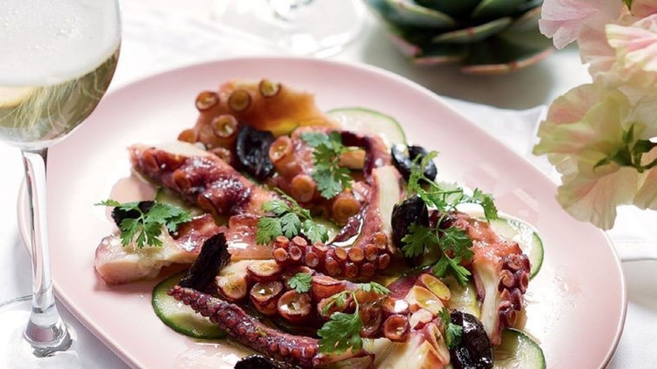 Octopus Xidato
