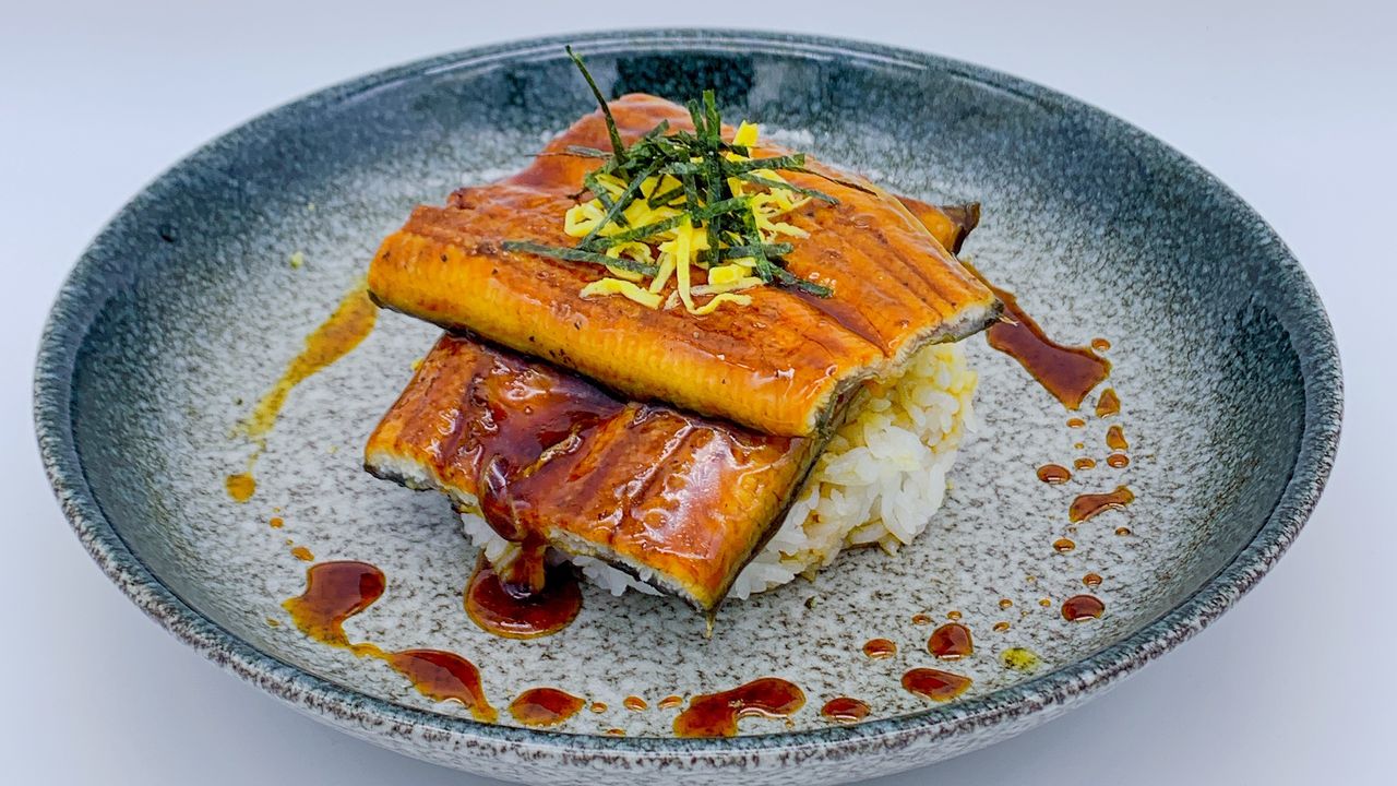 Unagi Don