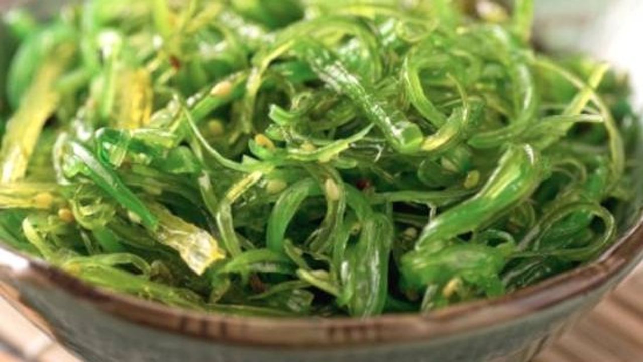 Kaiso Seaweed