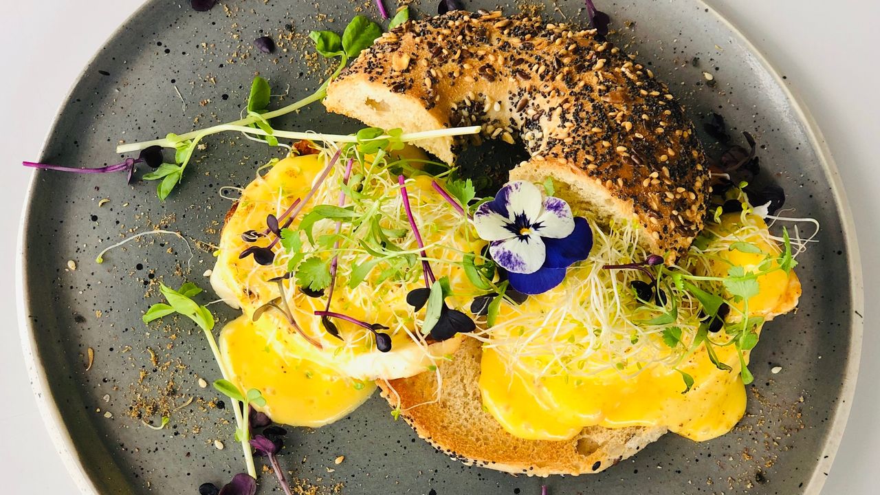 The Nine Benedict-Haloumi