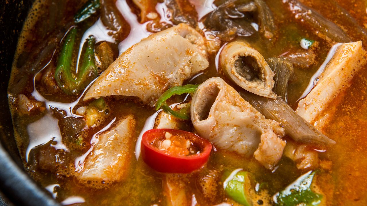 Beef Intestine