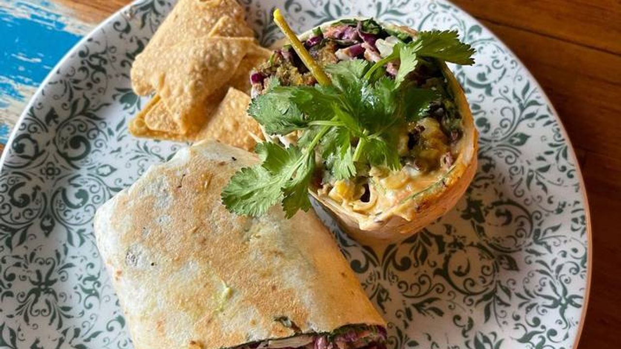 Vegan fala-fell for you