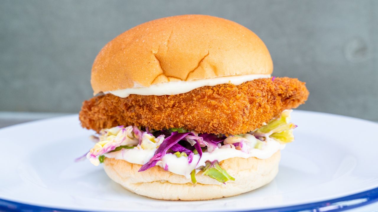 Chicken Katsu & Red Cabbage