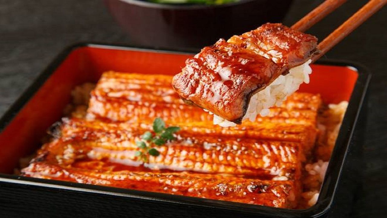 Unagi Don