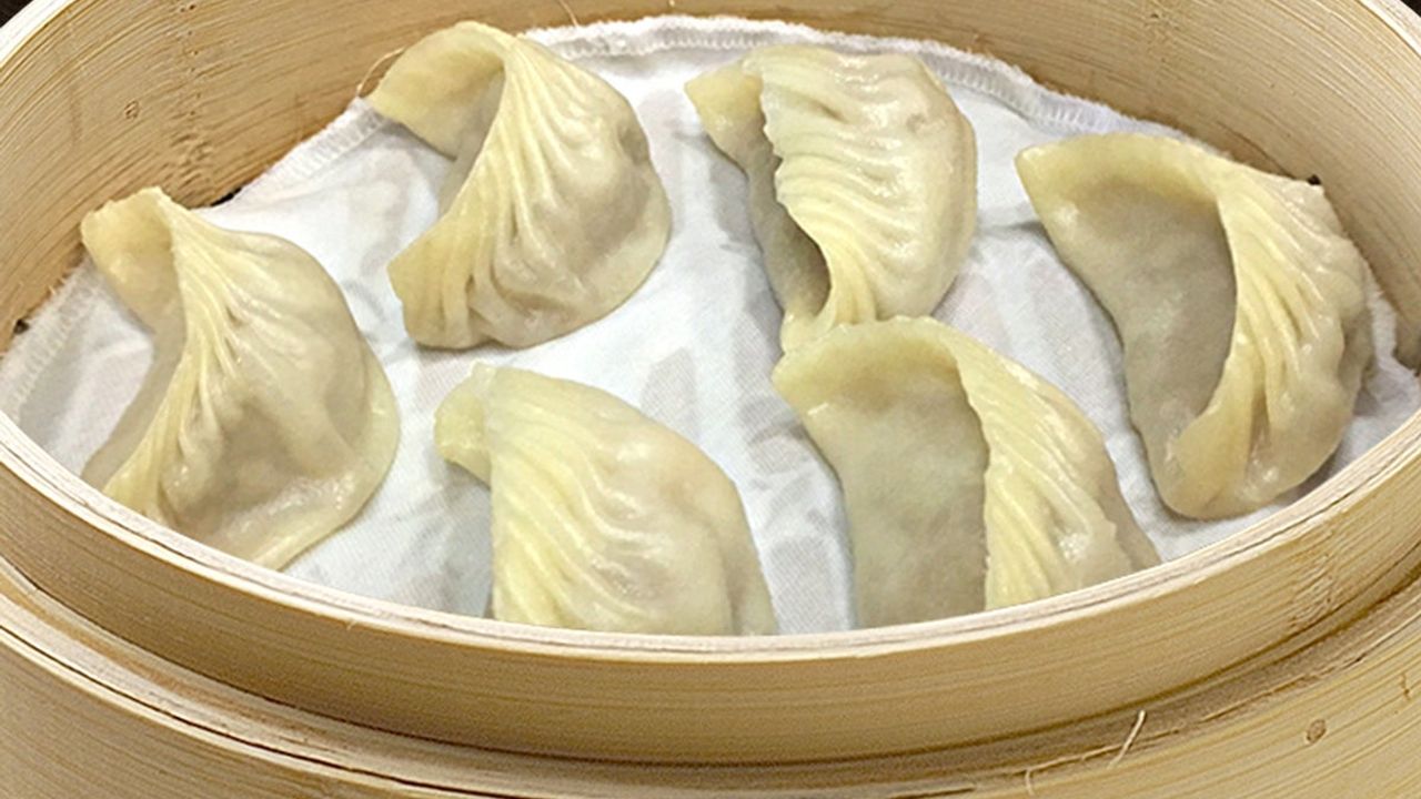 Chicken Dumpling