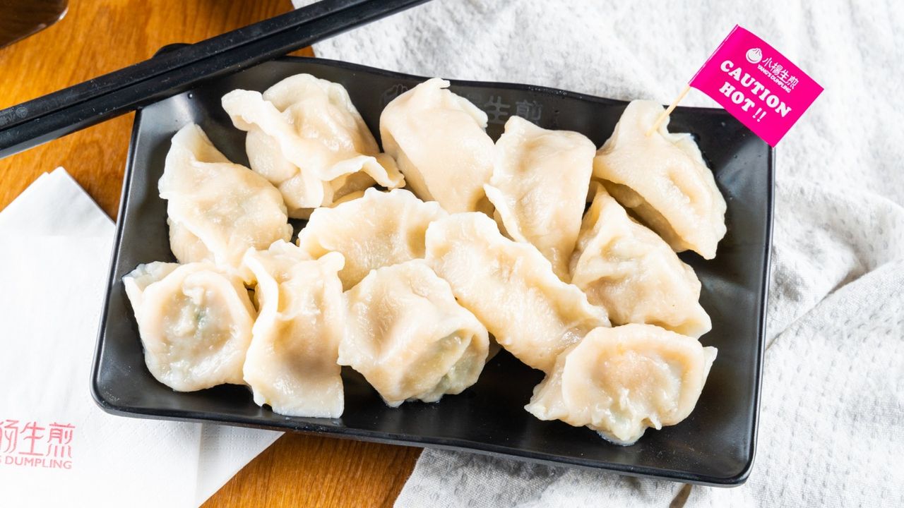 Boiled Pork & Chive Dumplings