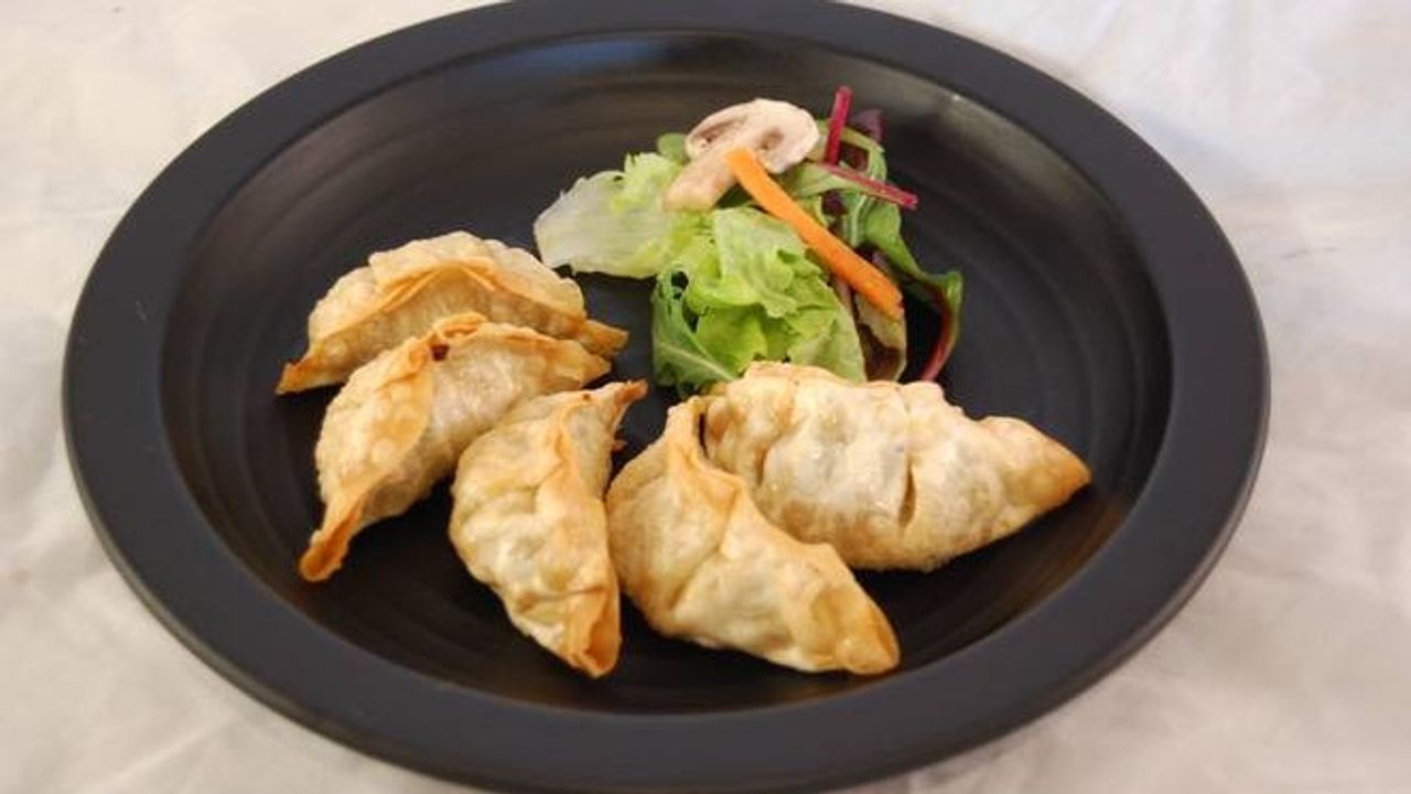 Fried Pork Dumplings