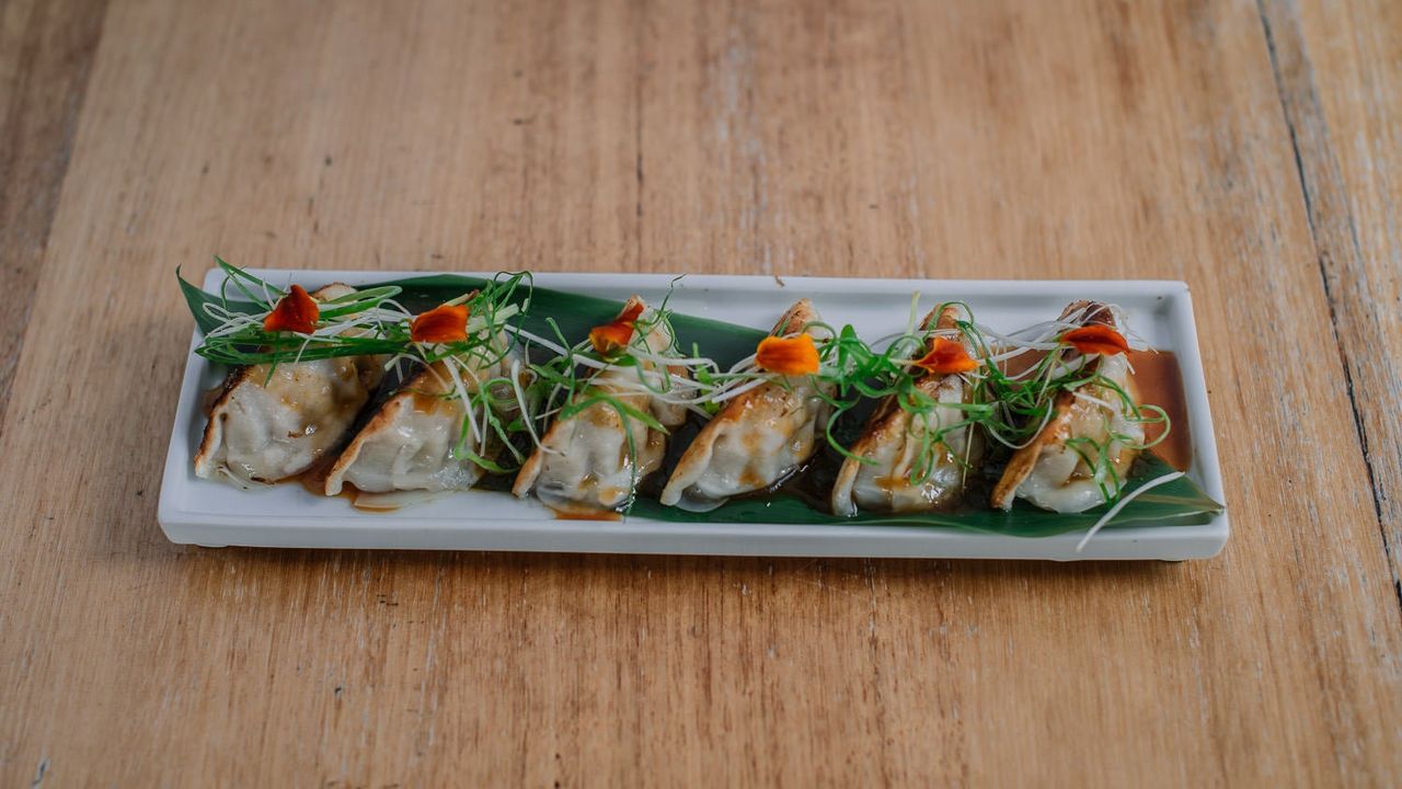 Gyoza