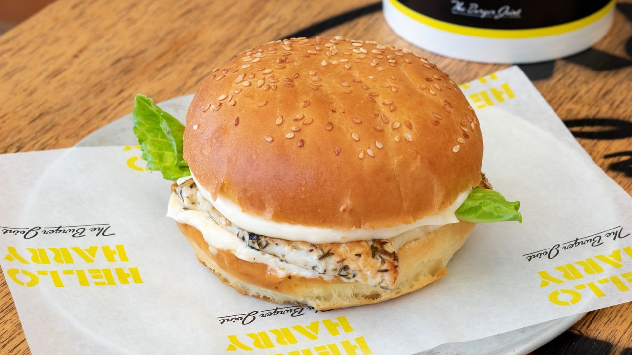 JNR Chicken Burger (GFO)