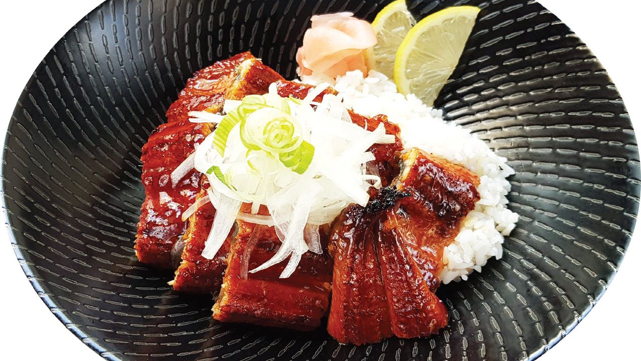 Grilled Eel and Rice