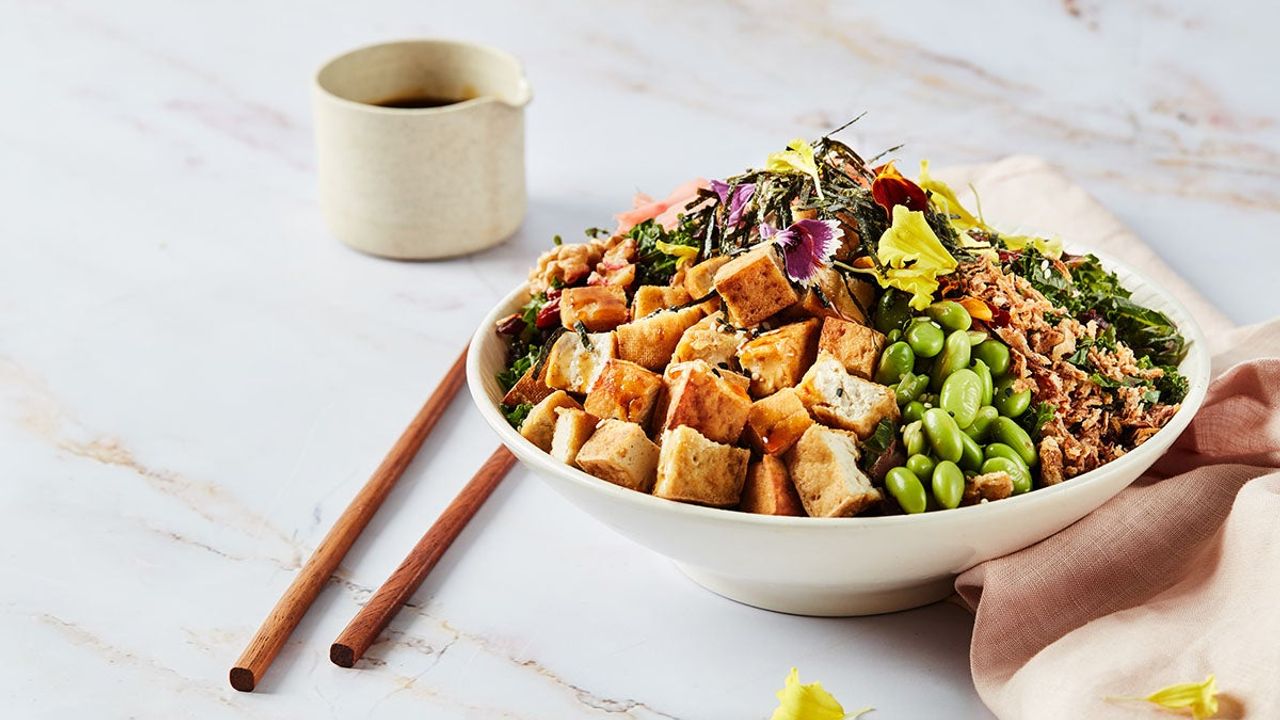 Tofu Teri-San (GF)(V)(VG)