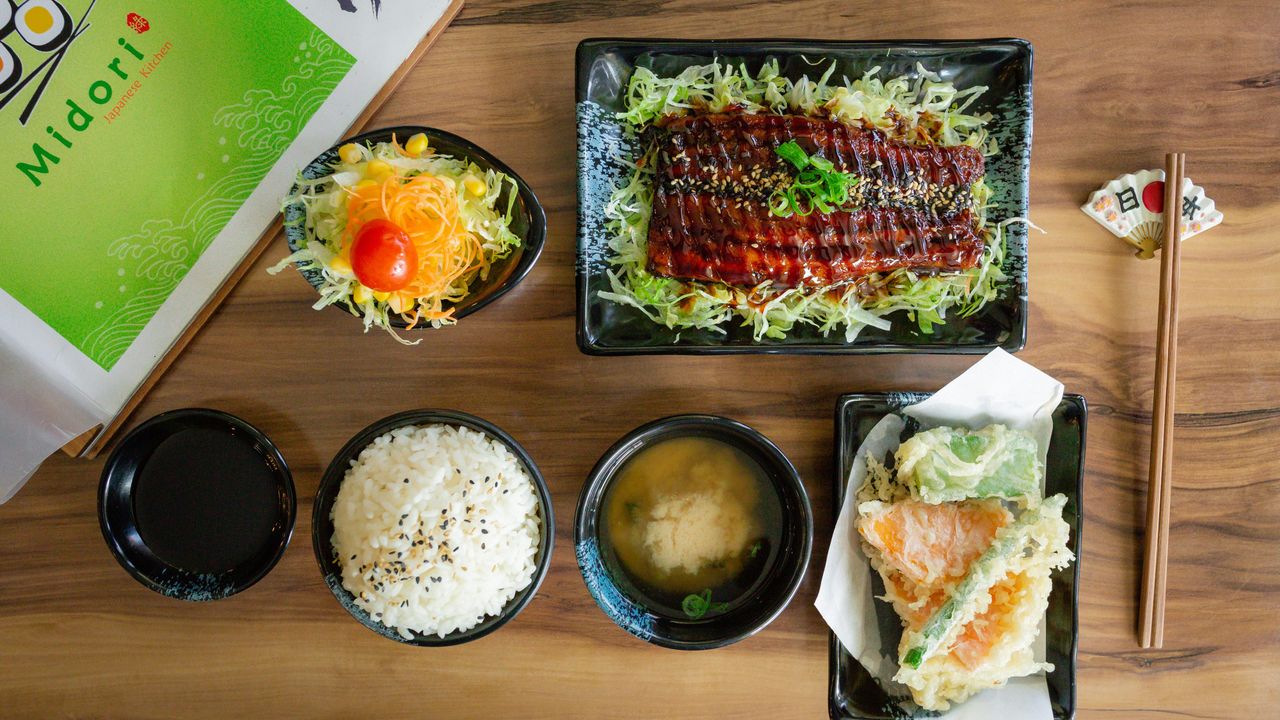 Eel Fish Set