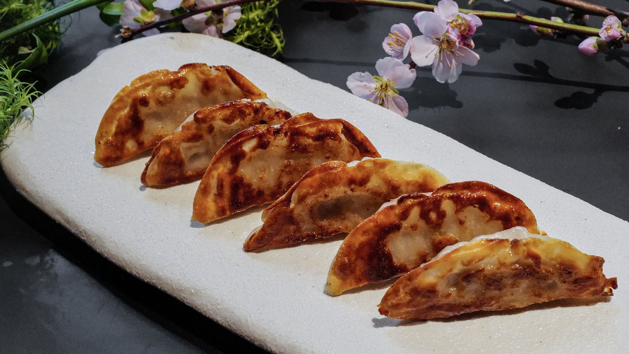 Gyoza
