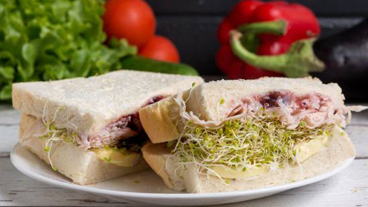 Turkey and Camembert Sandwich