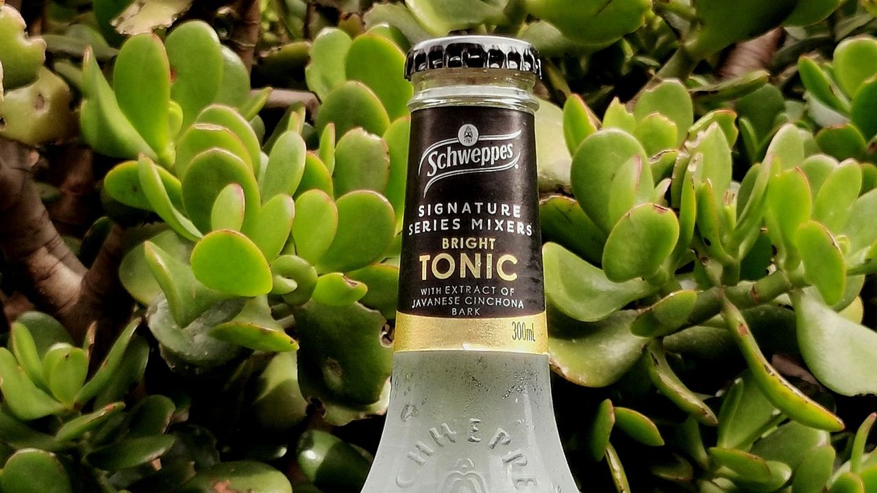 Schweppes Tonic Water (300ml)