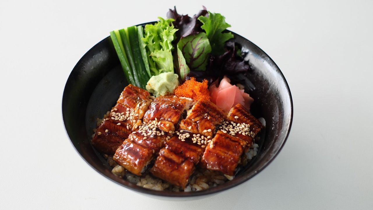 Eel on Rice