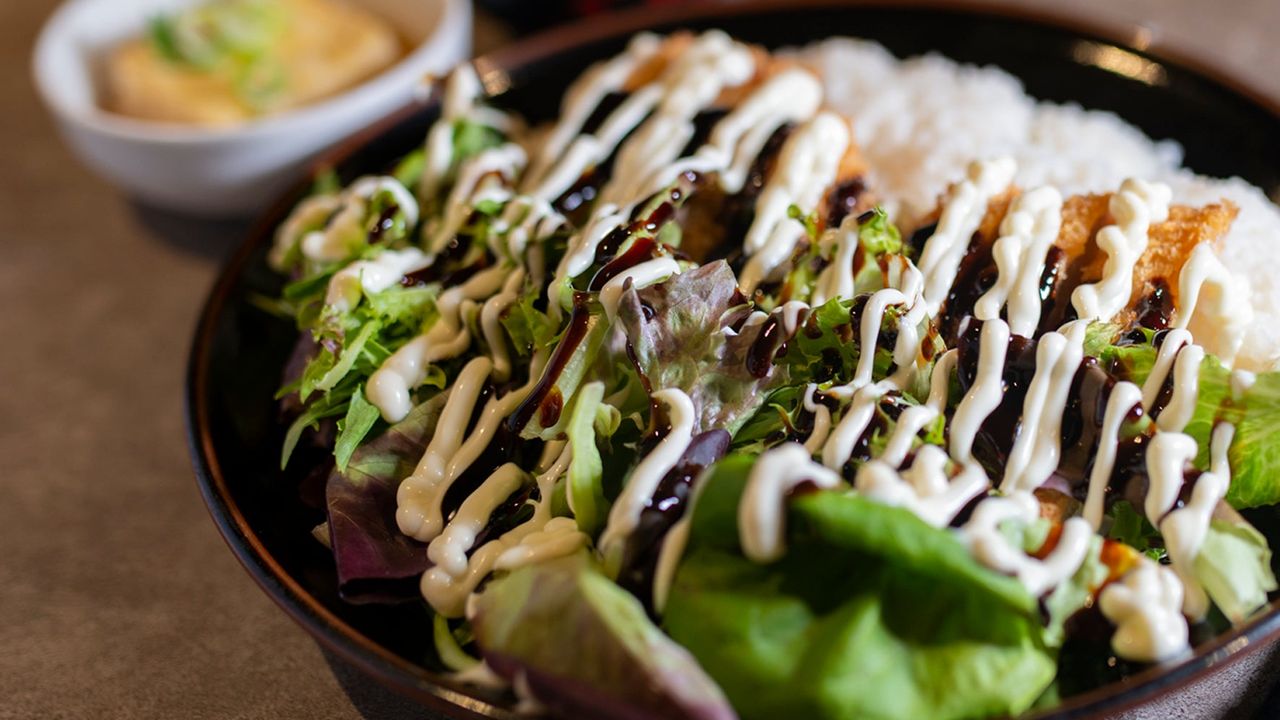 R7 Tonkatsu Pork Don