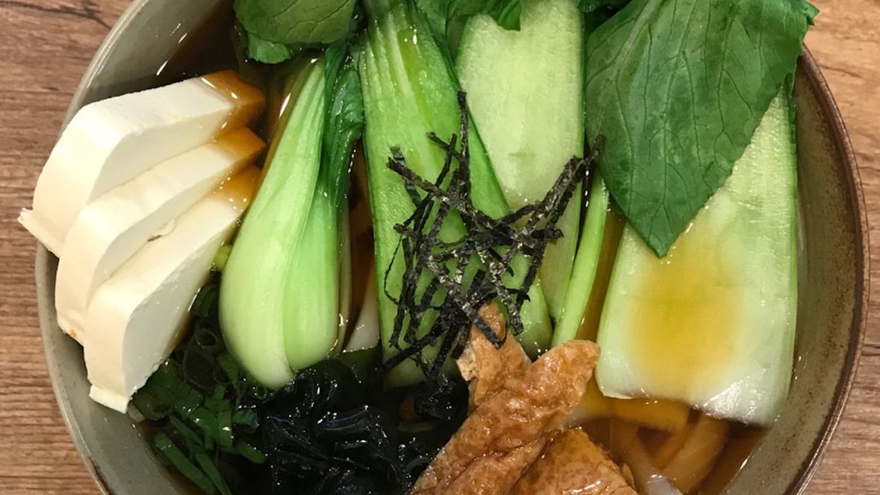Vegetable Udon