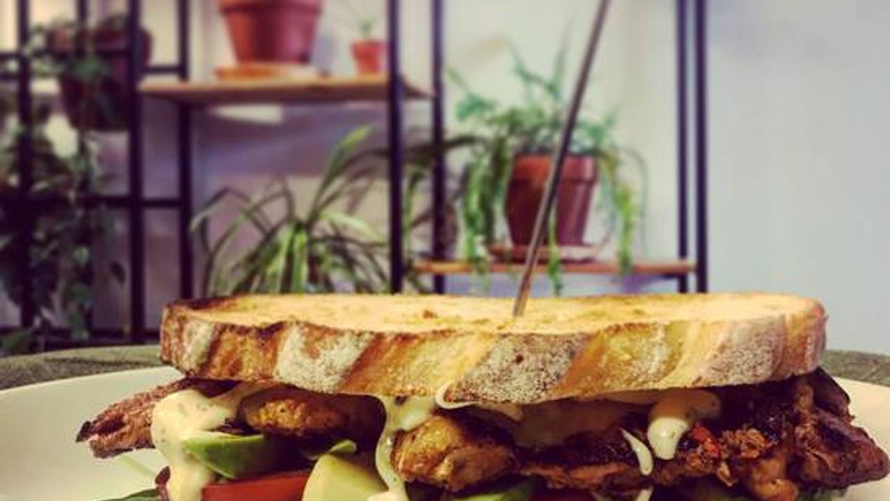 Grilled Chicken Sandwich