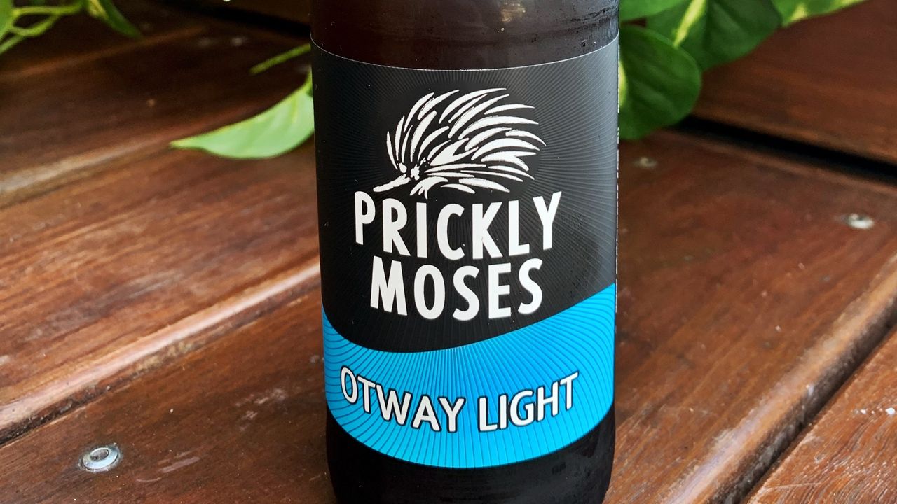 Prickly Moses Light Beer