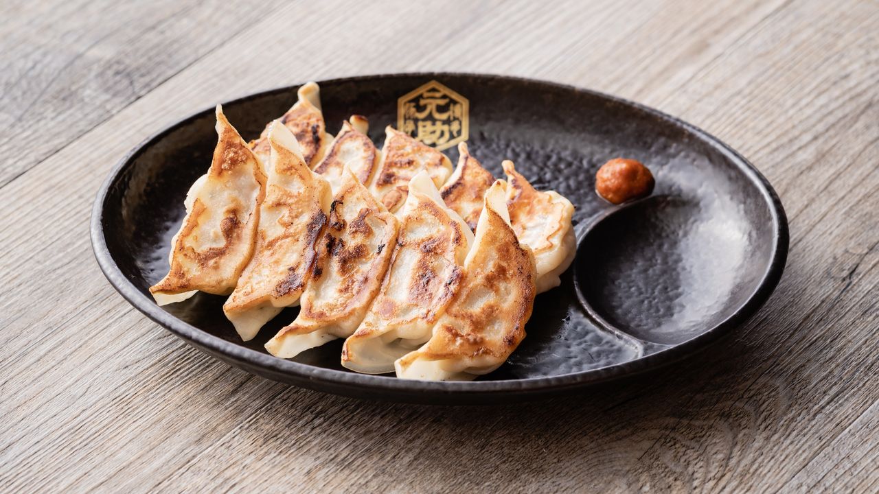 Gyoza (10)