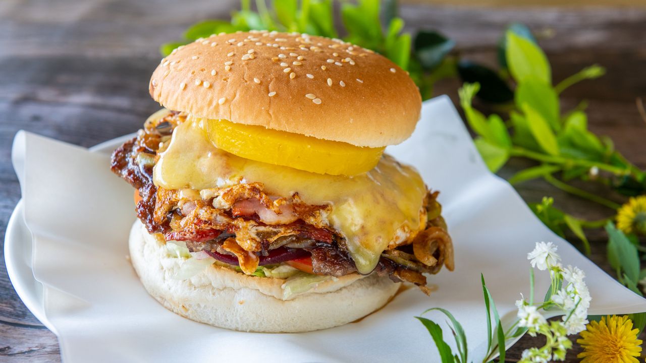 Hamburger With the Lot