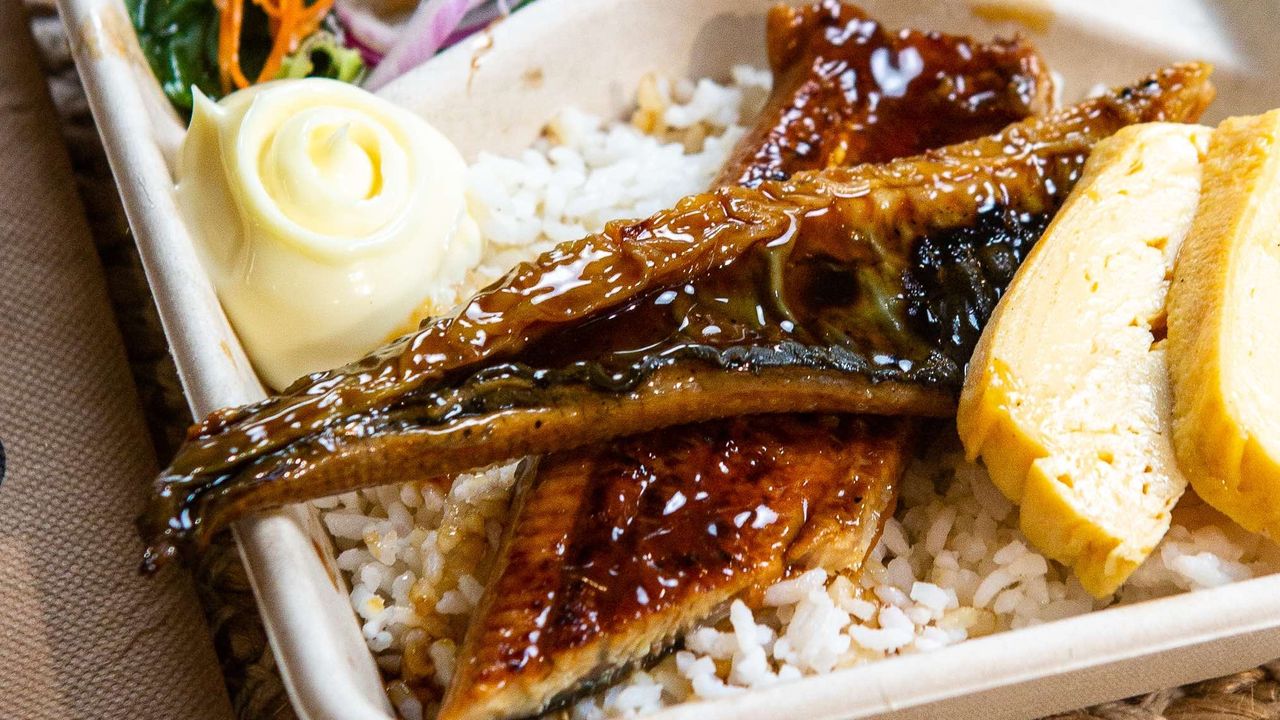 Unagi Rice