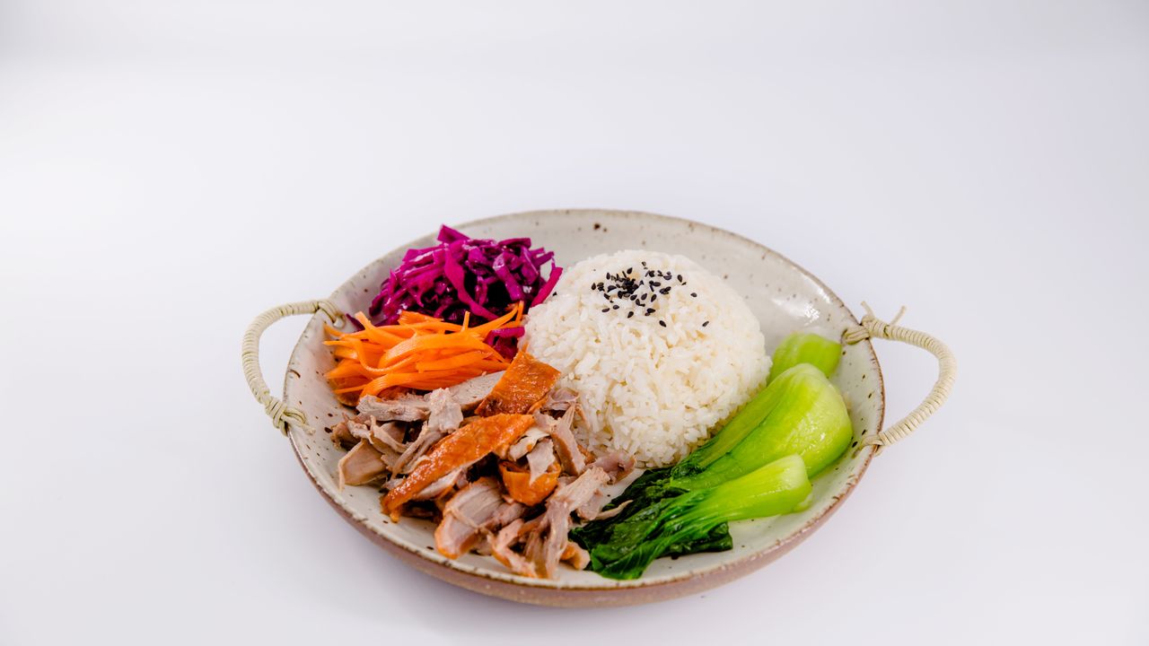 Roast Duck with Rice