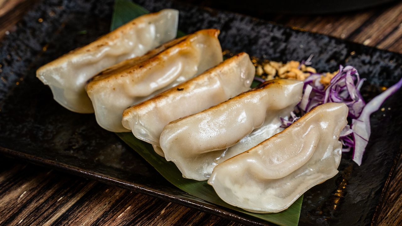 Yasai Gyoza (5)