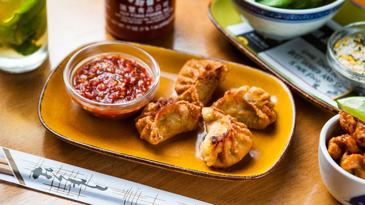 Green Curry Chicken Dumplings (4)