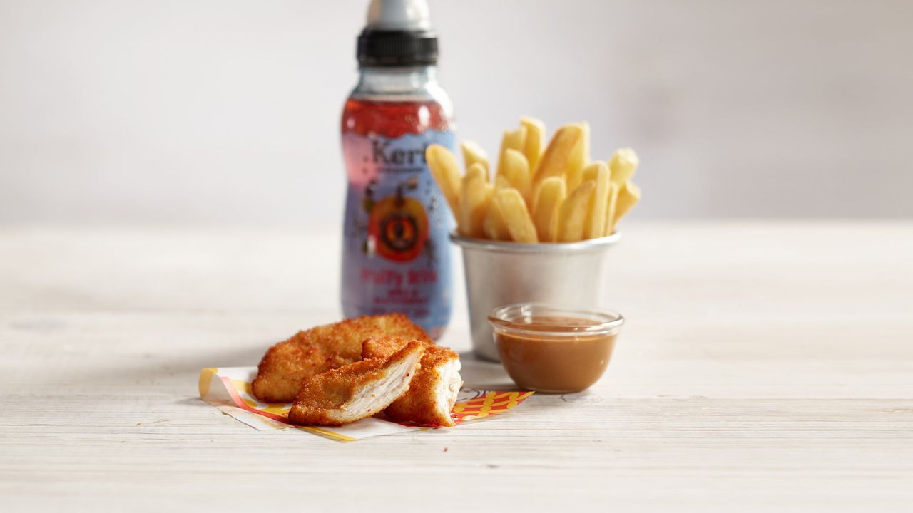 Crispy Chicken Strips Meal