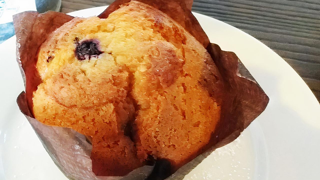 Blueberry Muffin