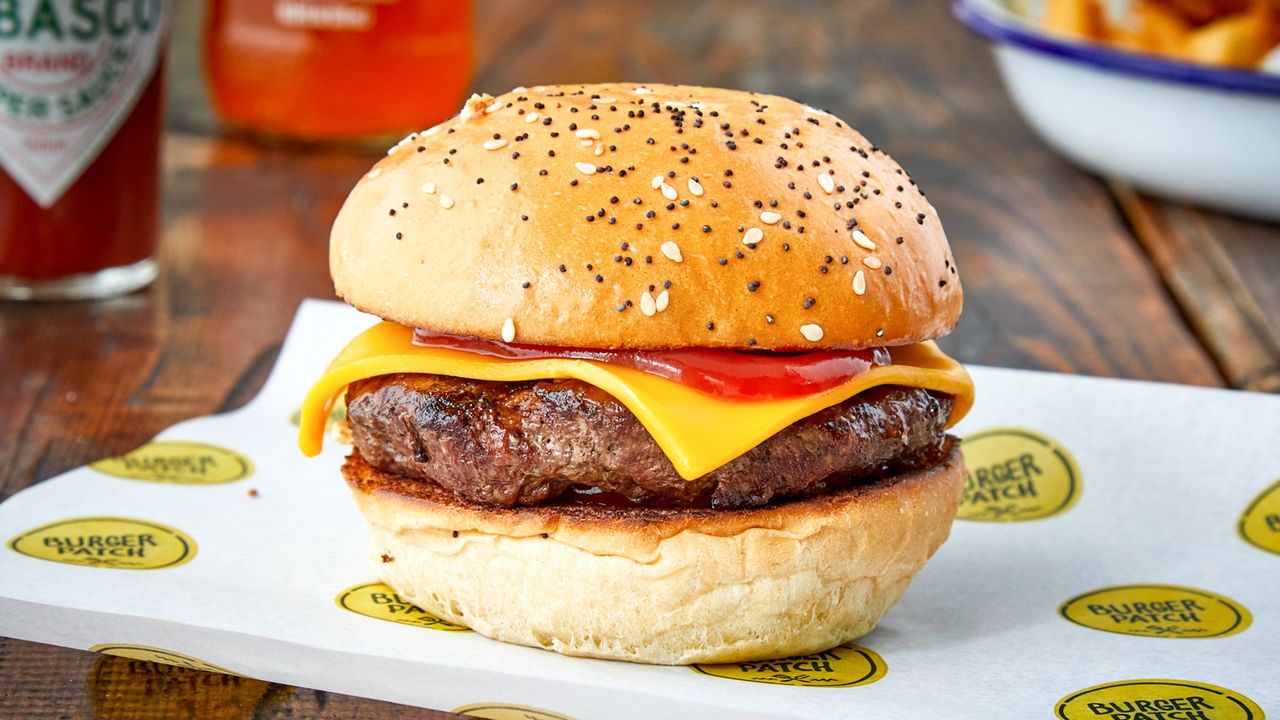 Basic Cheese Burger