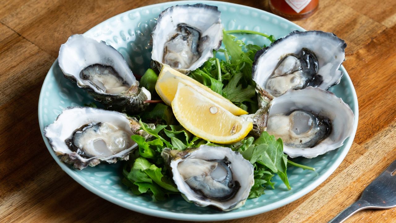 Oysters